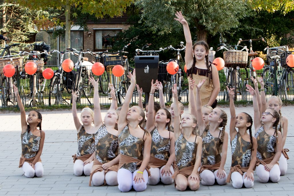 Schoolplein Festival A132.jpg